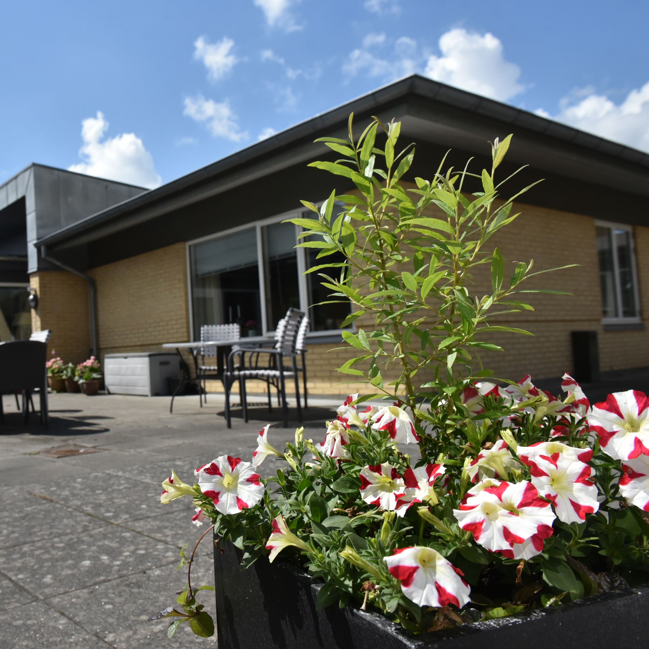 Udeområde på Åbakken